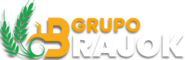 Grupo Brajok